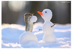 a small rodent standing next to a snowman with an orange carrot in it's mouth