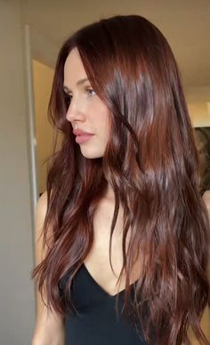 Winter Semester, Rambut Brunette, Hair Dyes, Ginger Hair Color, Dark Red Hair, Hair Color Auburn, Fun Hair