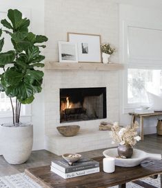 a living room with a fire place and potted plant on the coffee table in front of it