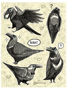 four different birds with speech bubbles in their mouths