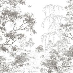 a drawing of trees and water in the woods