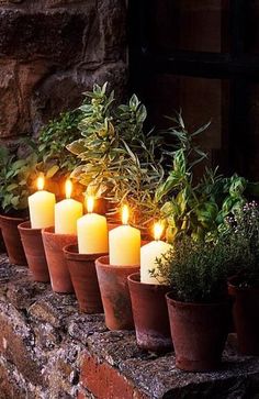 candles are lined up in clay pots with greenery