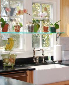 a kitchen sink sitting under a window filled with plants