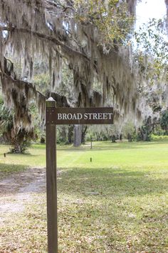 a sign that is in the grass near some trees with spanish moss hanging from it