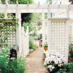 a garden with white flowers and greenery on the sides, along with a brick walkway