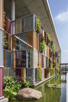 the building has many windows and plants growing on it's sides, along with a pond