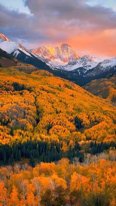 the mountains are covered in yellow and green trees as the sun sets over them with snow on top