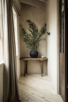 a plant is sitting on a table in the corner of a room with a window