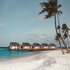 the beach is lined with palm trees and houses on stilts in the water, along with white sand