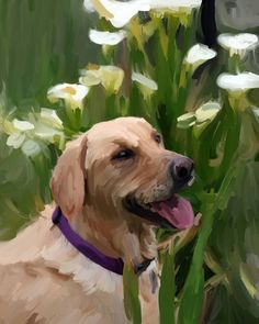 a painting of a dog sitting in the grass with flowers around him and his tongue hanging out