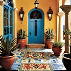 a blue door and some potted plants in front of it