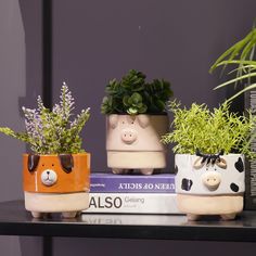 three ceramic planters with plants in them on a shelf next to books and magazines