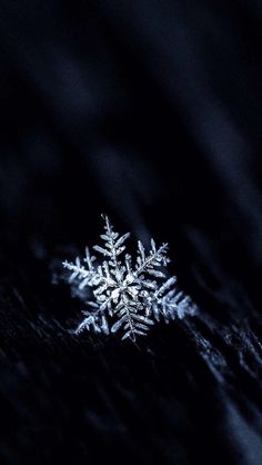 a snowflake is shown on a dark surface