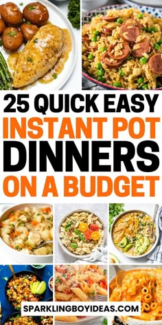 25 quick easy instant pot dinners on a budget