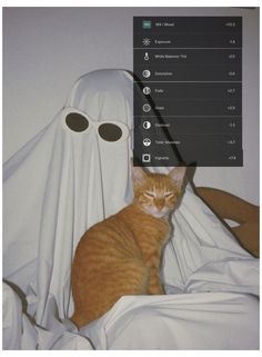 an orange cat sitting on top of a bed next to a white cloth covered ghost