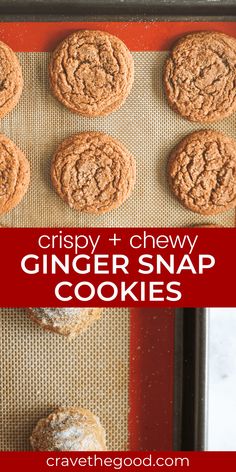 crispy and chewy ginger snap cookies on a baking sheet with text overlay