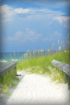 two wooden benches sitting on top of a sandy beach next to grass and the ocean