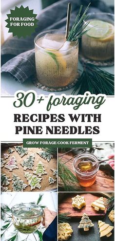 the cover of 30 + foraging recipes with pine needles