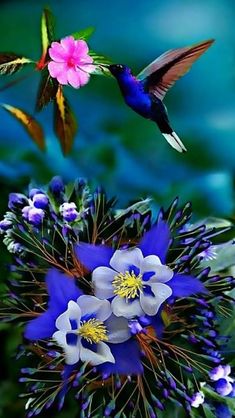 a hummingbird flying over purple flowers and green leaves