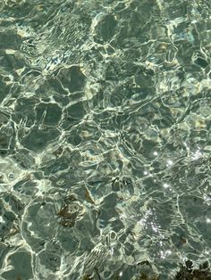 the water is crystal clear and reflecting sunlight