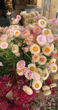 a bunch of flowers that are sitting on the ground