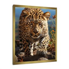 a large leopard walking on top of a rocky hill in the wilderness framed canvas wall art print