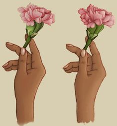 two hands holding pink flowers in each other's palm, with one hand reaching for the flower