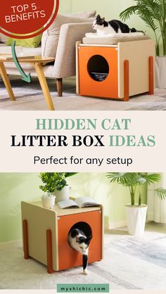 Keep your living space pet-friendly with innovative cat litter box furniture that hides litter boxes in style. These space-saving designs fit perfectly into small rooms, bathrooms, laundry areas, or under stairs, blending effortlessly with your home's decor, keeping your place odor-free, and ensuring your litter boxes are dog-proof. Whether you have one cat or multiple, these hiding cat litter box ideas keep your home fresh and organized. Find more indoor cat litter box ideas at myshichic.com Apartment Pet