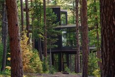 a house in the woods surrounded by trees