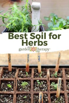 the best soil for herbs in a garden