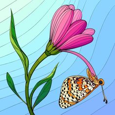 a butterfly sitting on top of a pink flower next to a green plant with leaves