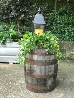 a light that is on top of a barrel with plants growing out of it in front of some bushes