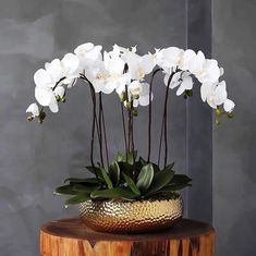 white orchids in a gold vase on a wooden stand with greenery and leaves