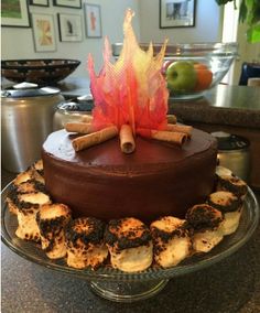 there is a chocolate cake with cinnamons on the top and fire in the middle