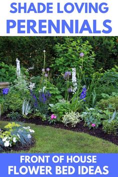 the front yard is full of flowers and plants with text that reads shade loving perennials