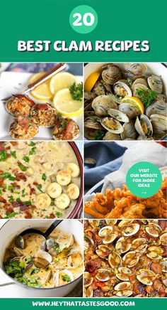 the top 20 best clam recipes