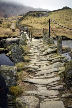 a stone path that is next to a body of water in the middle of nowhere