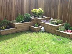 the garden is full of different types of flowers and plants, including roses in raised planters