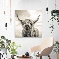 a black and white photo of a yak with long horns hanging on a wall