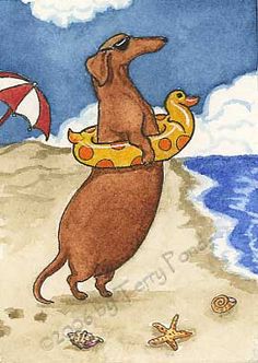 a dachshund dog carrying two ducks on the beach