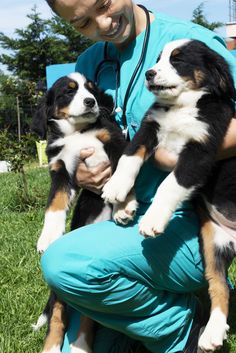 a vet is holding two puppies in his arms