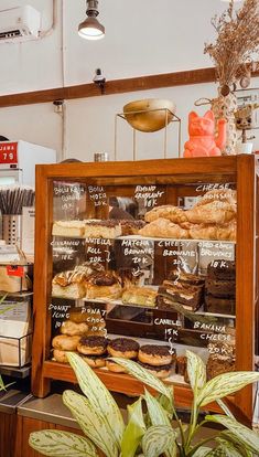 a display case filled with lots of doughnuts and pastries next to a potted plant