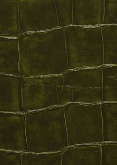 an alligator skin pattern in dark green