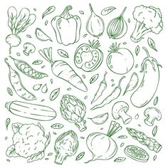 a bunch of vegetables that are drawn in green ink on a white background stock photo