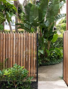 a wooden fence surrounded by plants and trees