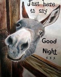 a drawing of a donkey looking through a fence with the words, just here to say good night