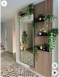 a mirror that has some plants on it and is next to a wall mounted planter