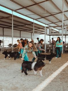 a group of people standing around with dogs