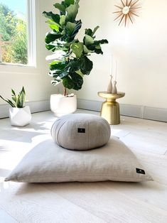 some plants are sitting on top of pillows in a room with white walls and flooring