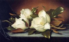 a painting of white flowers on a table